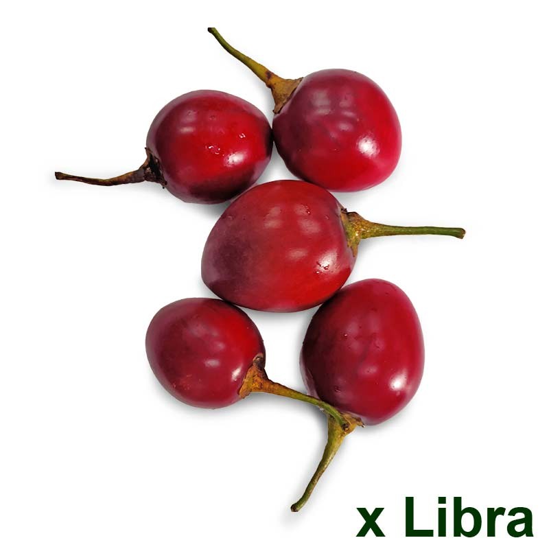 Tomate de Árbol x lb de Pequeñas Fincas