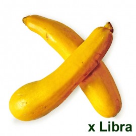 Calabacín amarillo orgánico x Lb