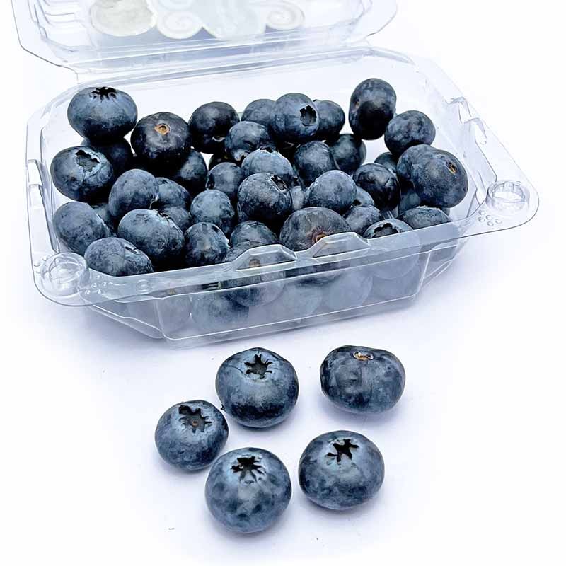 Arándanos orgánicos 125 gr FOREVER BLUEBERRIES