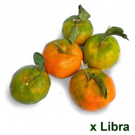 Mandarina Criolla x Lb Pequeñas Fincas