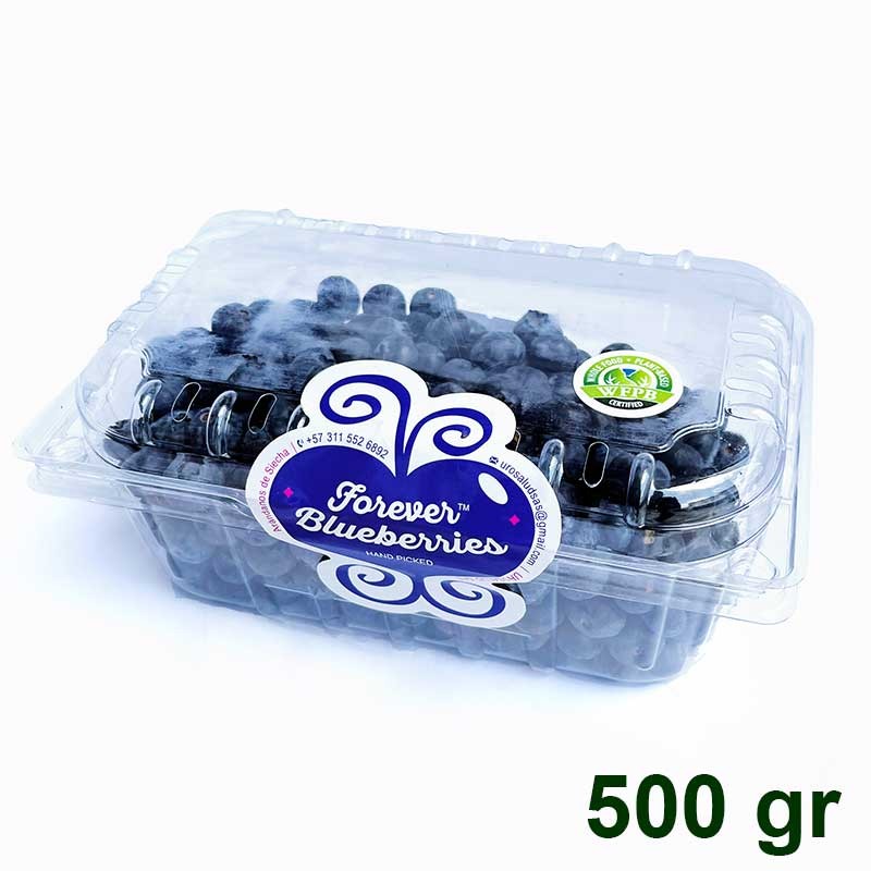 Arándanos orgánicos 500 gr FOREVER BLUEBERRIES