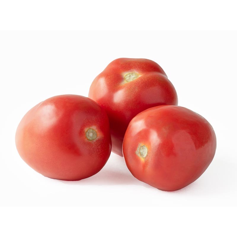 Tomate Chonto orgánico x lb Villa Santos
