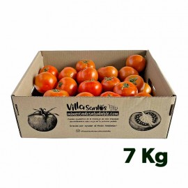 Bandeja 7 kg Tomates Villa Santos