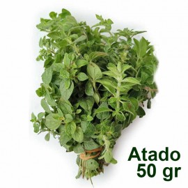 Oregano fresco orgánico Atado 50 gr