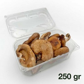 Shitake Fresco caja 250 gr