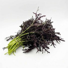 Lechuga Mizuna Morada orgánica 250 gr x unidad
