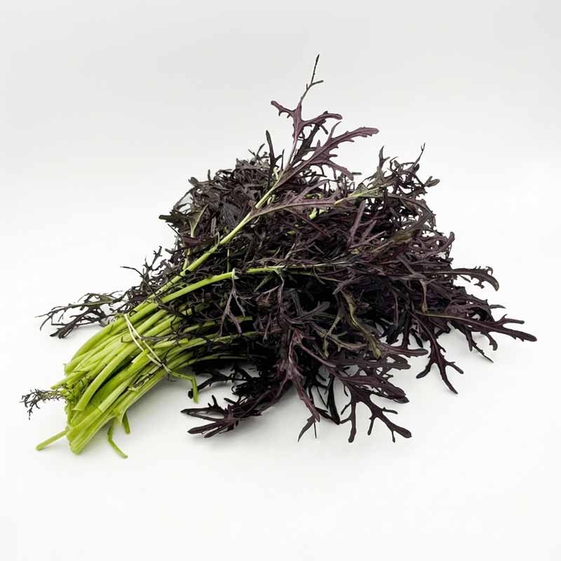Lechuga Mizuna Morada orgánica 250 gr x unidad