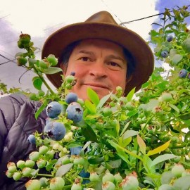 Marcelo Productor y dueño de los arándanos orgánicos Forever Blueberries