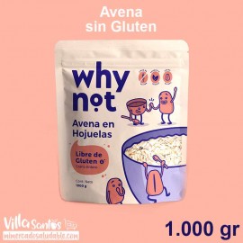 Avena en Hojuelas sin Gluten 1,000 gr Why Not